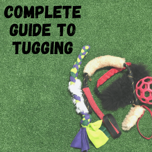 Complete Guide to Tugging