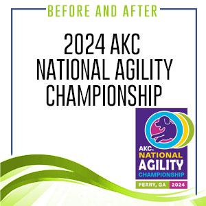 Before and After: 2024 AKC National Agility Championship